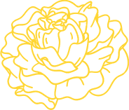 yellowflower3